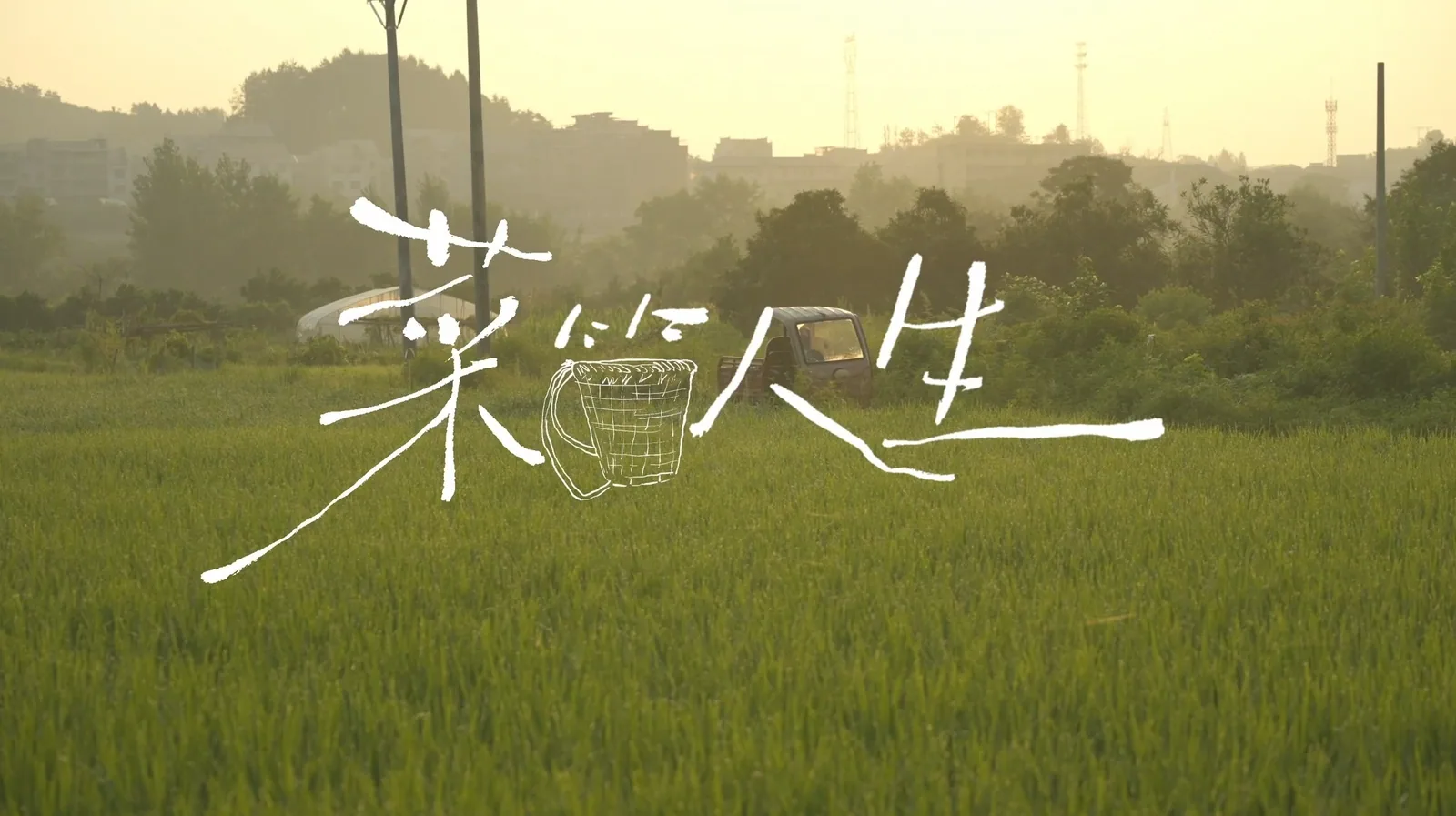 纪录片菜筐人生封面